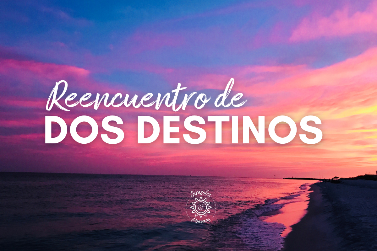 Portada Reencuentro de Dos Destinos