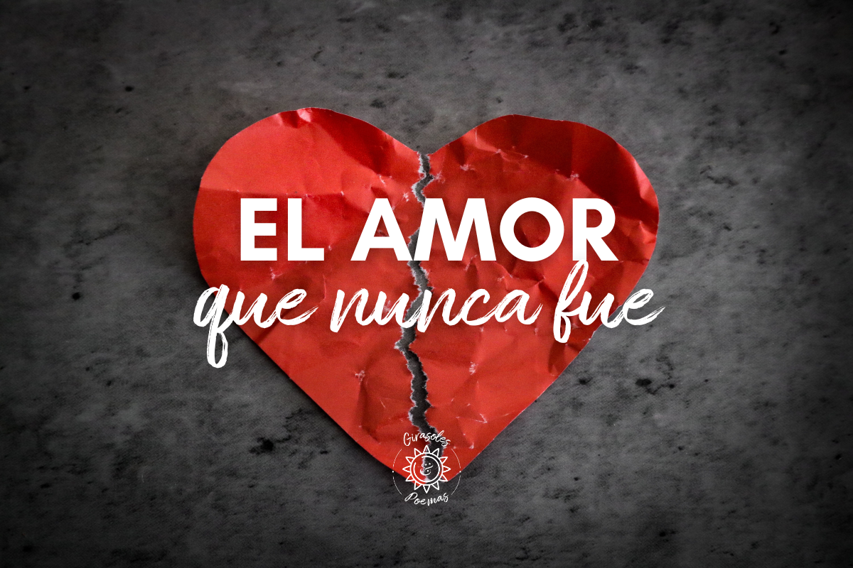 El Amor Que Nunca Fue